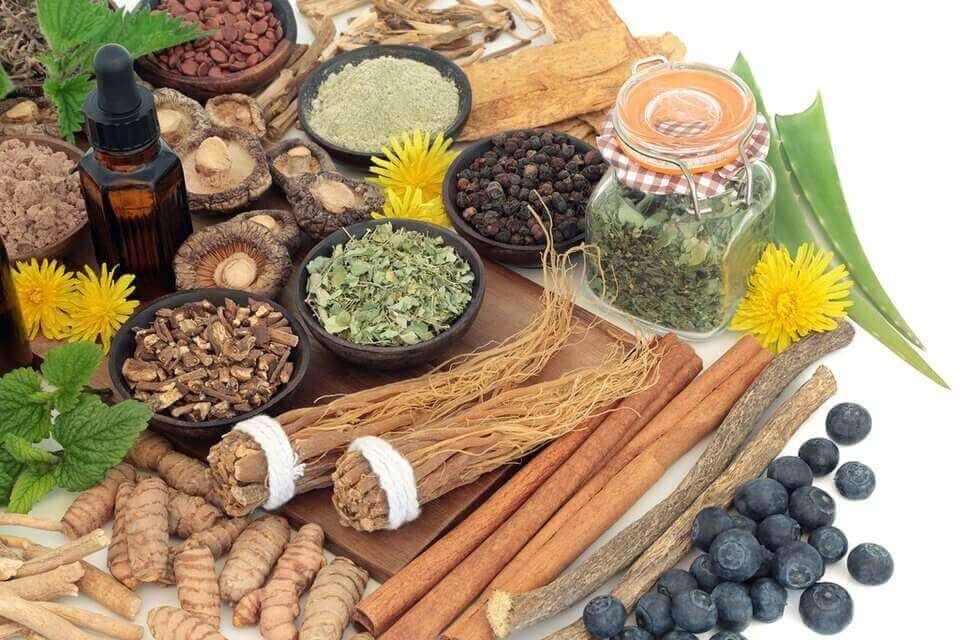 What are Adaptogens and Who Needs Them?
