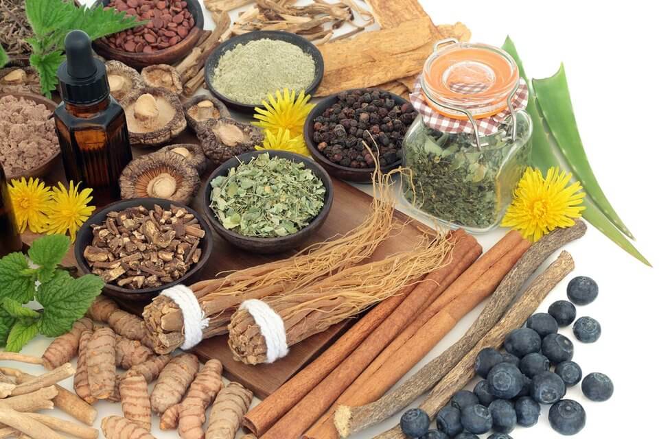 What are Adaptogens and Who Needs Them?