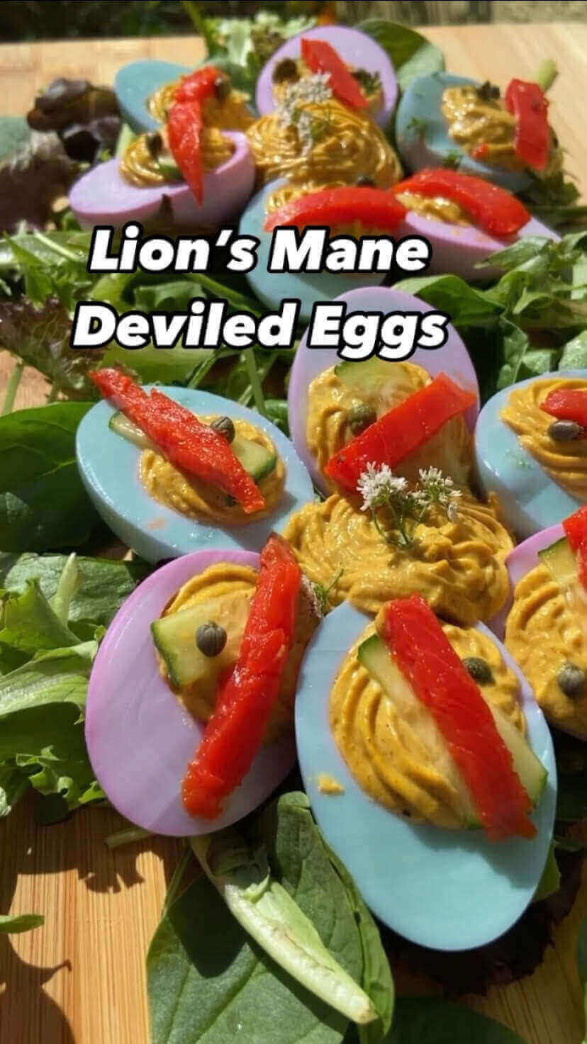 naturally dyed lion's mane deviled eggs with lion's mane mushroom recipe