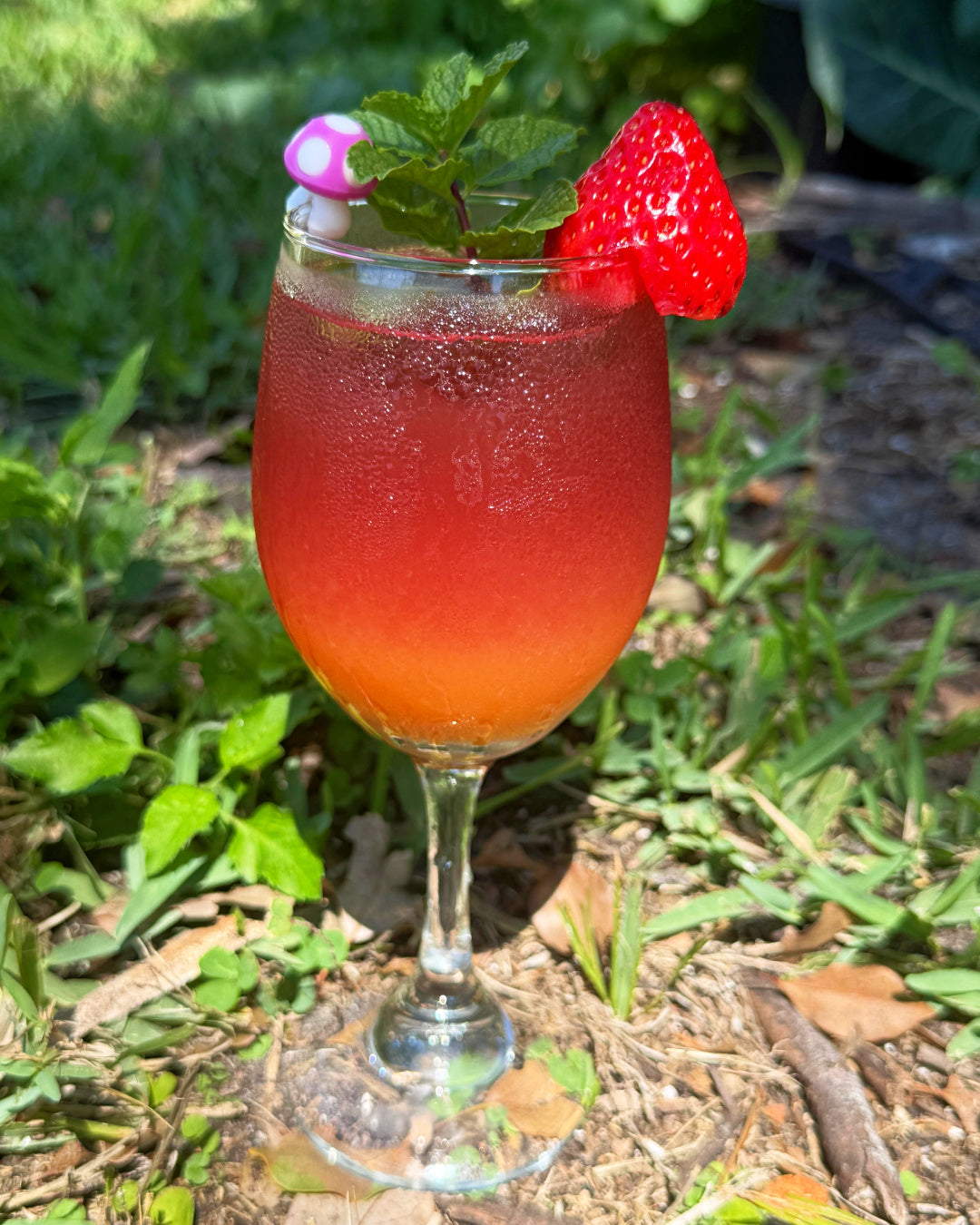 sleeping berry sunset spritz herbal mocktail recipe by zplantmagic